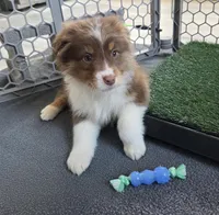 processed/0544dafd-9568-4778-bcf1-d171cf9661ce/listing/a0756db6-c063-47f7-b475-c10df7889586/f66eeea1-c1cb-4313-81a0-f80d6f6af195