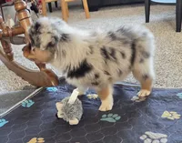 processed/0544dafd-9568-4778-bcf1-d171cf9661ce/listing/a55b8223-c2da-4b1e-a208-cbf25340f91e/2d85c8b1-c00b-4cf9-a1ce-603d2310699e