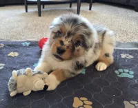 processed/0544dafd-9568-4778-bcf1-d171cf9661ce/listing/a55b8223-c2da-4b1e-a208-cbf25340f91e/38c7f1ba-c3e9-4bbe-9d64-92bed47f9fcc