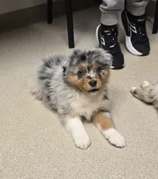 processed/0544dafd-9568-4778-bcf1-d171cf9661ce/listing/a55b8223-c2da-4b1e-a208-cbf25340f91e/82ecbf24-626b-49fe-b02a-ce3ccf608ed2