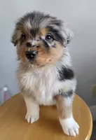 processed/0544dafd-9568-4778-bcf1-d171cf9661ce/listing/a55b8223-c2da-4b1e-a208-cbf25340f91e/83286f62-6231-4b0b-af9f-066d3a357c3d