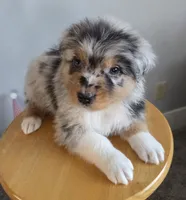 processed/0544dafd-9568-4778-bcf1-d171cf9661ce/listing/a55b8223-c2da-4b1e-a208-cbf25340f91e/8b4c8b08-e15b-437d-9234-d64a312c7b15