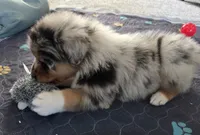 processed/0544dafd-9568-4778-bcf1-d171cf9661ce/listing/a55b8223-c2da-4b1e-a208-cbf25340f91e/8bcc778f-a16d-4fc6-bb27-45f60e489ac2