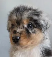 processed/0544dafd-9568-4778-bcf1-d171cf9661ce/listing/a55b8223-c2da-4b1e-a208-cbf25340f91e/df978cdf-742a-46d1-bcd7-b1e6fd3729e9