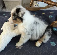 processed/0544dafd-9568-4778-bcf1-d171cf9661ce/listing/e2e8c580-9820-426f-9a68-adbfbdad930f/1b4092e0-a44b-40c4-b646-4cafeb91ed23