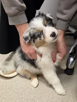 processed/0544dafd-9568-4778-bcf1-d171cf9661ce/listing/e2e8c580-9820-426f-9a68-adbfbdad930f/d3beff29-0662-4647-9f2f-28632232c1b0