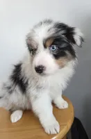 processed/0544dafd-9568-4778-bcf1-d171cf9661ce/listing/e2e8c580-9820-426f-9a68-adbfbdad930f/d896e6d4-1c10-4981-8da1-dba4bb6d55fb