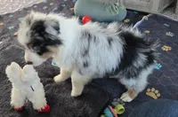 processed/0544dafd-9568-4778-bcf1-d171cf9661ce/listing/e2e8c580-9820-426f-9a68-adbfbdad930f/ee3bbc2c-2acf-44dd-9059-da359e59d3b5