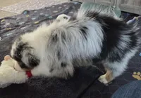 processed/0544dafd-9568-4778-bcf1-d171cf9661ce/listing/e2e8c580-9820-426f-9a68-adbfbdad930f/f55b2294-298e-42b9-b9bc-adecd85474f7