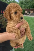 processed/05460d33-6ffe-4a82-83eb-038b92b01401/listing/5b588d5d-7a5d-419f-9b14-18e1c345c586/5bd49170-48ab-43bd-aecb-55f8e94139db