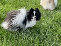 processed/055983a4-505d-49a0-9a4f-7cee0df6786b/facility/4a625c0c-372f-4349-b135-abbcadcc4d48