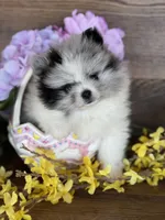 processed/055983a4-505d-49a0-9a4f-7cee0df6786b/facility/500d8b68-0dcc-493f-82e2-3be8f8170c34