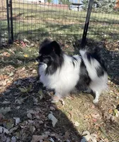 processed/055983a4-505d-49a0-9a4f-7cee0df6786b/facility/80db88c7-68b7-42fa-8cb2-9ee303621d3f