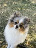 processed/055983a4-505d-49a0-9a4f-7cee0df6786b/facility/9676eecd-3bea-4556-854d-fb03bc46f535