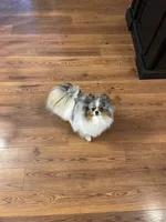 processed/055983a4-505d-49a0-9a4f-7cee0df6786b/facility/a48954ba-f6fb-4e21-8d1d-e116f6056f5e