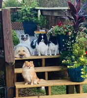 processed/055983a4-505d-49a0-9a4f-7cee0df6786b/facility/c415c02f-b172-4488-bdfd-4da3bf82e21b