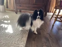 processed/055983a4-505d-49a0-9a4f-7cee0df6786b/facility/c576687d-082c-48bf-83b5-e4cf3cd6703b