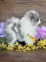 processed/055983a4-505d-49a0-9a4f-7cee0df6786b/facility/e6519125-3f01-491b-b686-26bdb2e1089c