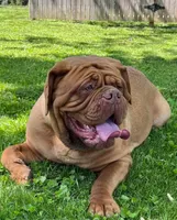 processed/055dc3fa-54a6-4234-b444-6c8104fe8a8f/facility/1d9a611f-1b1f-4c6e-abfa-702c0a51b572