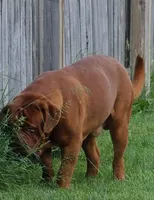 processed/055dc3fa-54a6-4234-b444-6c8104fe8a8f/facility/3a5041dd-5494-4660-b295-f8e3db0a6218