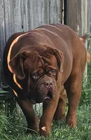 processed/055dc3fa-54a6-4234-b444-6c8104fe8a8f/facility/4189f21b-2ca6-4df7-9a52-2355e21d3334