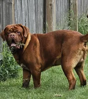 processed/055dc3fa-54a6-4234-b444-6c8104fe8a8f/facility/7fbb402f-a86c-42f4-8db0-de27fd4bfe94