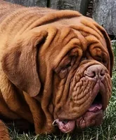 processed/055dc3fa-54a6-4234-b444-6c8104fe8a8f/facility/8a9952a9-fe54-4f4f-a510-c08a0eac9d5c