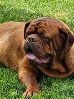 processed/055dc3fa-54a6-4234-b444-6c8104fe8a8f/facility/9244f7cc-8ab3-4e04-97cb-0594ee68664d