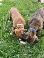 processed/0564fa05-a675-4c69-9a76-a1afa3b52143/facility/637a4771-a700-4018-974e-604810f80fcf