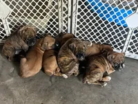 processed/0564fa05-a675-4c69-9a76-a1afa3b52143/facility/9d175874-c350-446f-8bc6-61bcf9ed7ac2