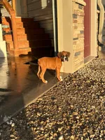 processed/0564fa05-a675-4c69-9a76-a1afa3b52143/facility/d142e710-7760-4b4f-91ed-65f63d266a28