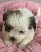 processed/0566a9d3-a920-4aaa-babb-0ca18248e212/listing/5df80a7a-4b25-45ac-afa0-3a347aebfb00/c77abd54-e304-4f18-bc43-cbf6abced29d