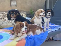 processed/0566b365-1424-4e74-8fce-a4bc95820366/facility/093a706f-2090-4b08-aecc-5ac34a9b5a83