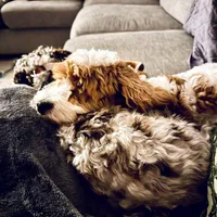 processed/0566b365-1424-4e74-8fce-a4bc95820366/facility/0fa1e596-304d-4ba7-b0fc-9038d8482a99