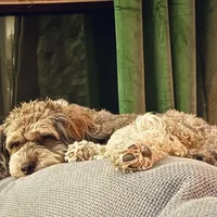 processed/0566b365-1424-4e74-8fce-a4bc95820366/facility/17b79705-8fc7-47d6-be59-4fd62cbfa21c