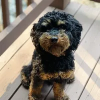 processed/0566b365-1424-4e74-8fce-a4bc95820366/facility/2452b4ec-e18d-450e-92f5-e88b35d5657a