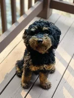 processed/0566b365-1424-4e74-8fce-a4bc95820366/facility/2452b4ec-e18d-450e-92f5-e88b35d5657a