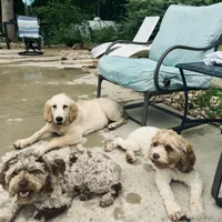 processed/0566b365-1424-4e74-8fce-a4bc95820366/facility/3f777fb7-e6c1-4e8e-9a93-0d5ce5ff7b69