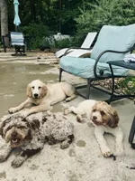 processed/0566b365-1424-4e74-8fce-a4bc95820366/facility/3f777fb7-e6c1-4e8e-9a93-0d5ce5ff7b69