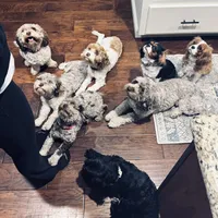 processed/0566b365-1424-4e74-8fce-a4bc95820366/facility/539640ed-59fe-40f3-9e0b-f50fa3fb4702