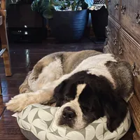 processed/0566b365-1424-4e74-8fce-a4bc95820366/facility/76c252d2-c965-4e60-8165-ef888581634e