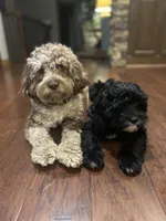 processed/0566b365-1424-4e74-8fce-a4bc95820366/facility/90dd796b-572a-4045-8032-2396699da5c2