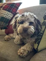 processed/0566b365-1424-4e74-8fce-a4bc95820366/facility/dc58a6cd-01a6-4b03-aee8-840f6b8495b1