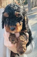 processed/0566b365-1424-4e74-8fce-a4bc95820366/listing/00bfd857-b24c-4aaa-b68d-8f8c7f70c3a9/58adfa0e-e72e-4b66-ae80-d91ce10f03f1