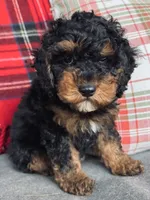 processed/0566b365-1424-4e74-8fce-a4bc95820366/listing/00bfd857-b24c-4aaa-b68d-8f8c7f70c3a9/6a26fa43-bfe1-46d9-885b-4508bb6e1b24