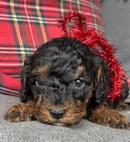 processed/0566b365-1424-4e74-8fce-a4bc95820366/listing/00bfd857-b24c-4aaa-b68d-8f8c7f70c3a9/6d1c181b-beba-4f1e-9940-47ef3927495b