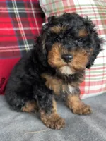 processed/0566b365-1424-4e74-8fce-a4bc95820366/listing/00bfd857-b24c-4aaa-b68d-8f8c7f70c3a9/84e58437-2241-4e81-9b83-89f7b7978d81