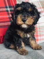 processed/0566b365-1424-4e74-8fce-a4bc95820366/listing/00bfd857-b24c-4aaa-b68d-8f8c7f70c3a9/8626475e-e9a9-4db9-bd42-b30e6d4b6bf2