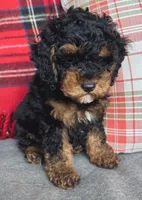 processed/0566b365-1424-4e74-8fce-a4bc95820366/listing/00bfd857-b24c-4aaa-b68d-8f8c7f70c3a9/8e76df6c-839b-48cc-9e6e-cf7528b85ceb