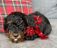 processed/0566b365-1424-4e74-8fce-a4bc95820366/listing/00bfd857-b24c-4aaa-b68d-8f8c7f70c3a9/975e2e30-6c6d-49fe-8eb1-fd735eb3f061